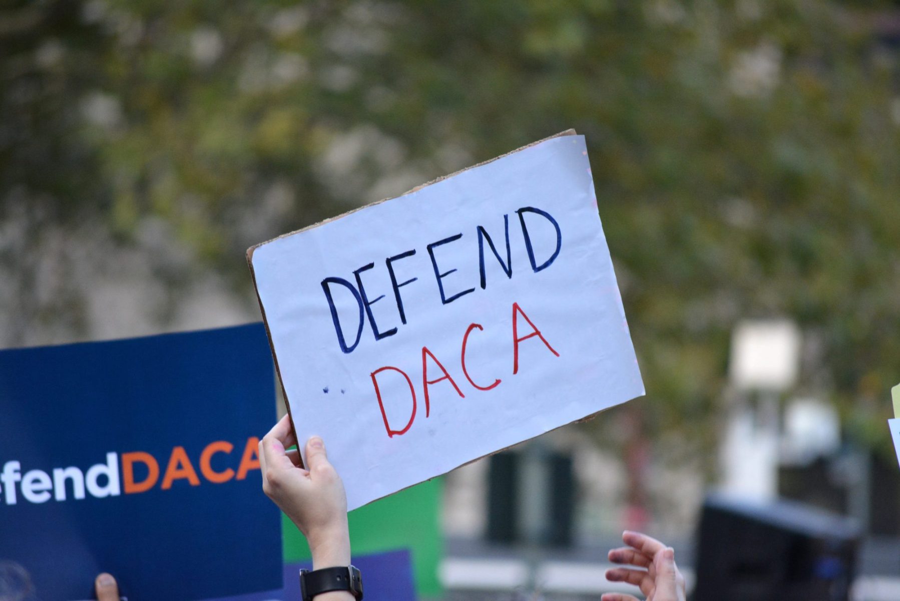 Fifth Circuit Deferred Action for Childhood Arrivals Ruling